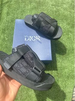 D10R slides