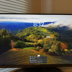 Mac Mini + Monitor 