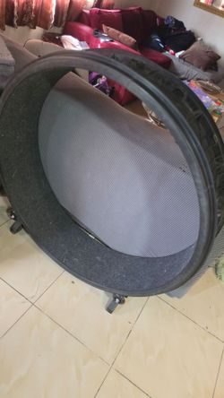 One fast cat wheel