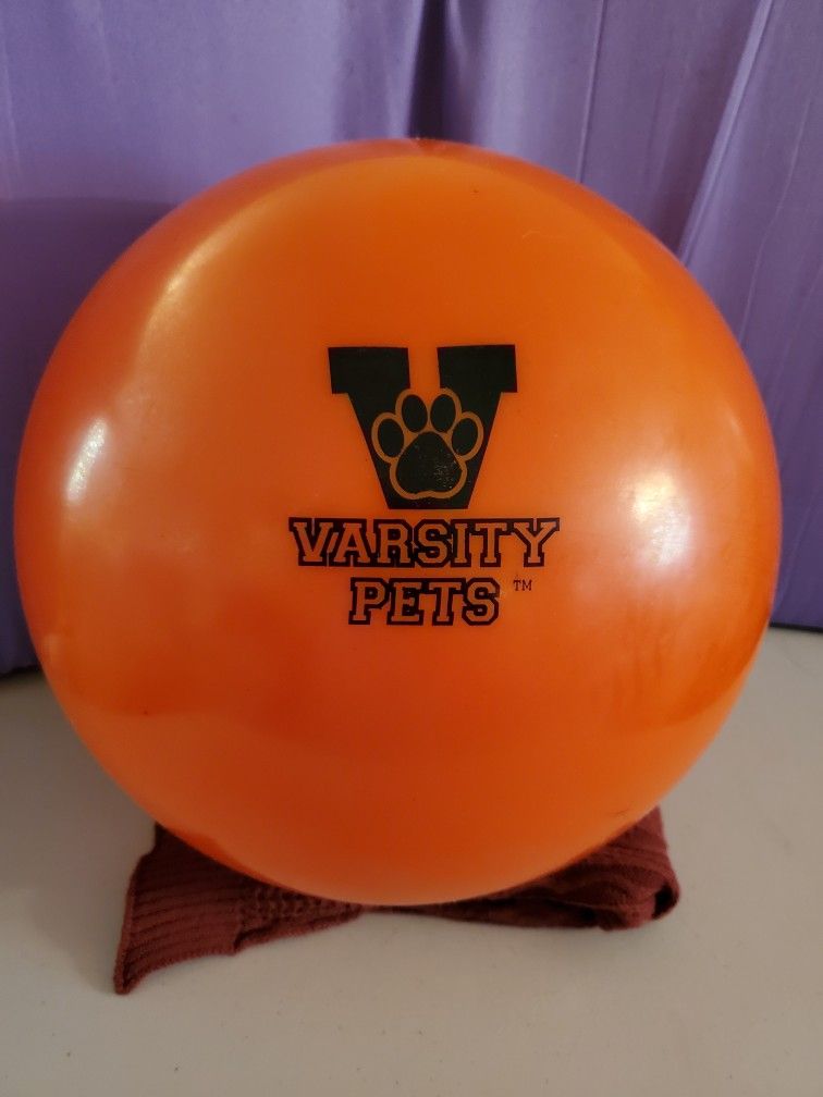 Varsity Ball (Designed for a large/high-energy dog)