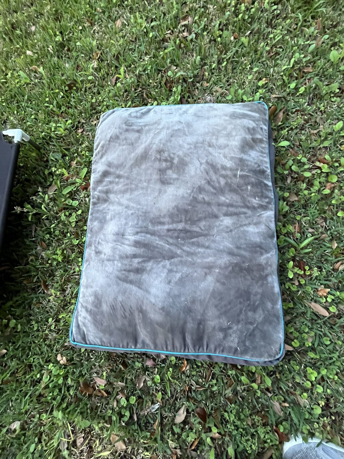 Dog Beds. $ 10 Each