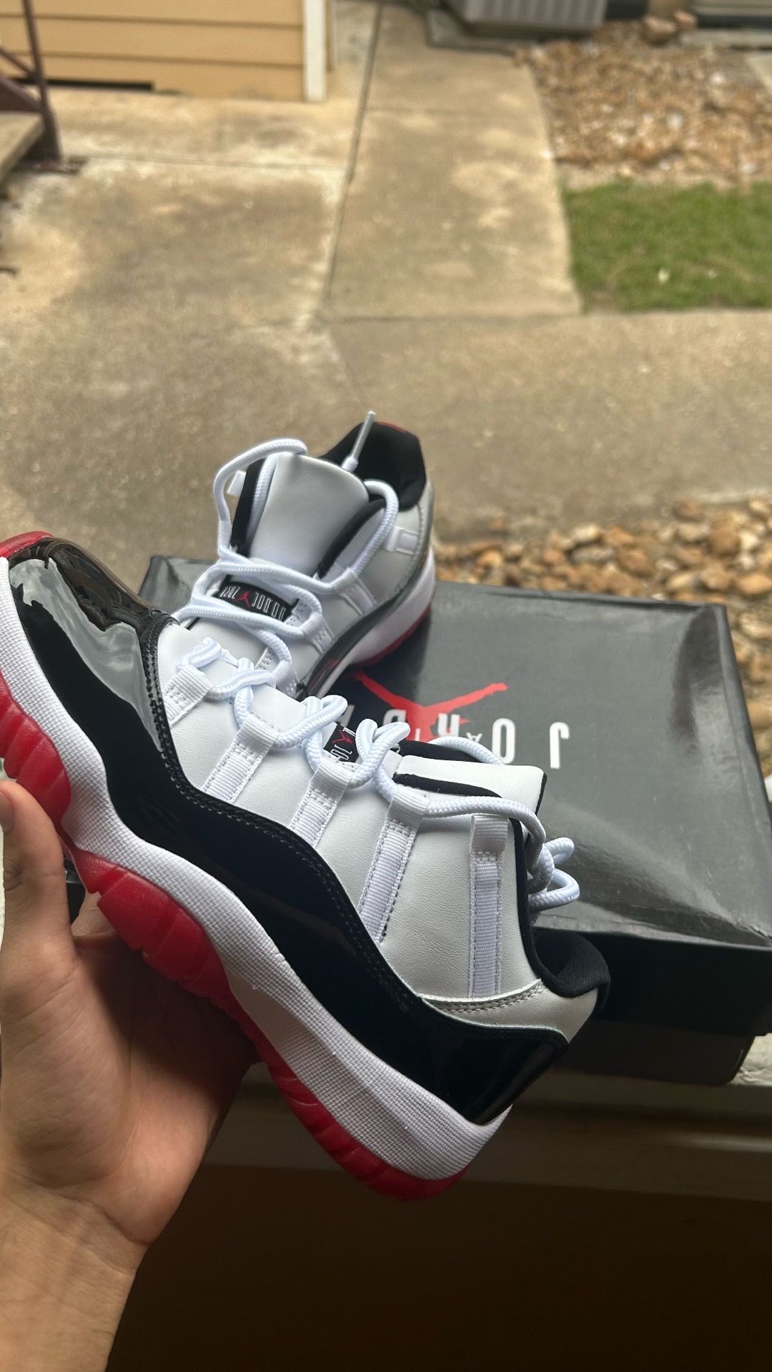 Jordan 11 CONCORD BREAD