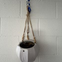 Ceramic Plant Pots Vases