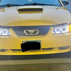 Mustang Raxiom Head Lights