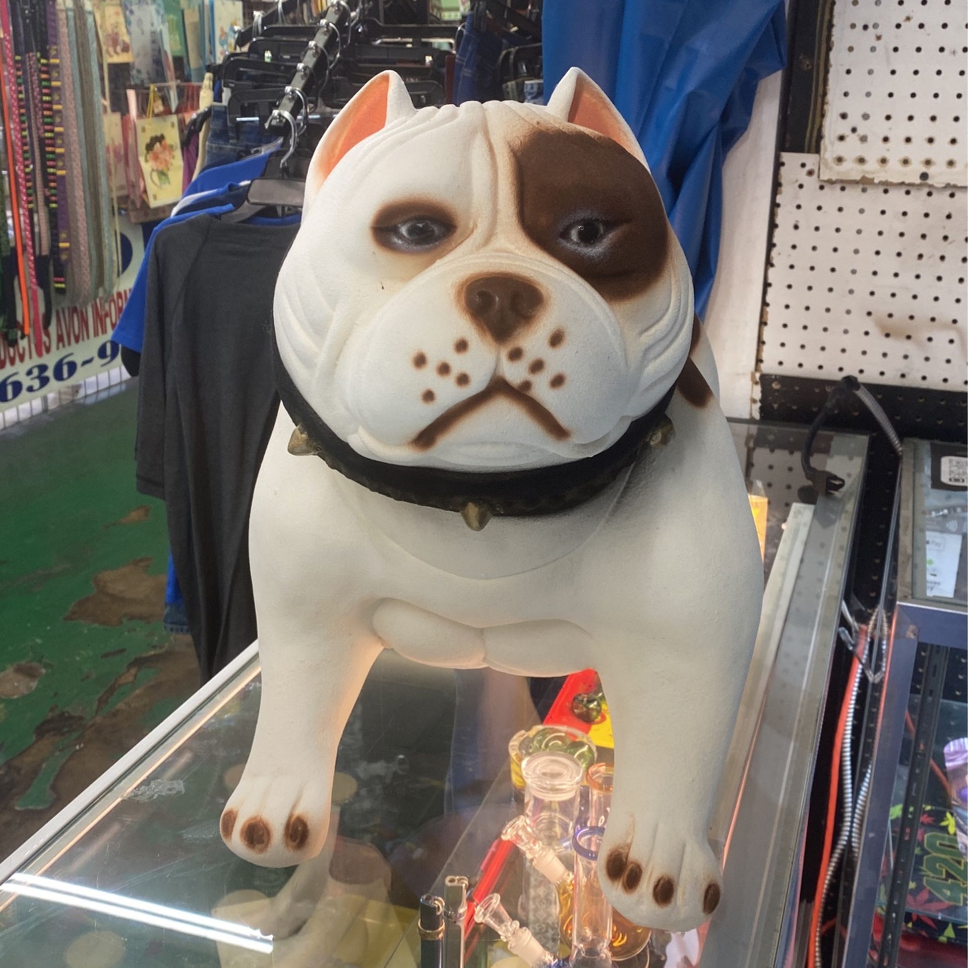 Pit bull Bank