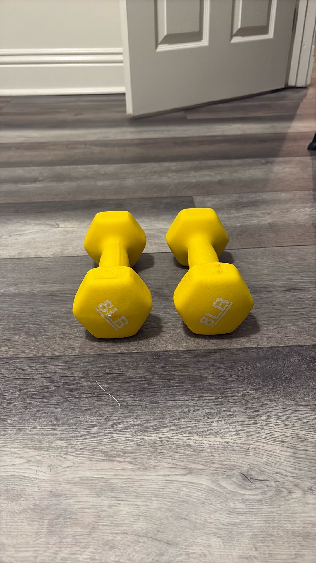 Used 8 Lb Dumbbells