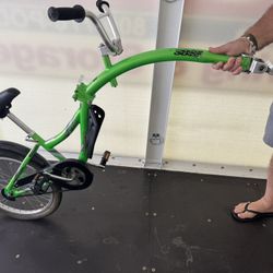 Copilot Weeride Bike Trailer