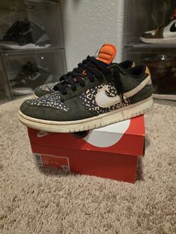 Dunk Low Rainbow Trout Sz 10