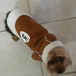 Small Dog Winter Coat
