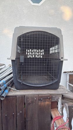 Gage for Dogs 2 left very good condition like new.