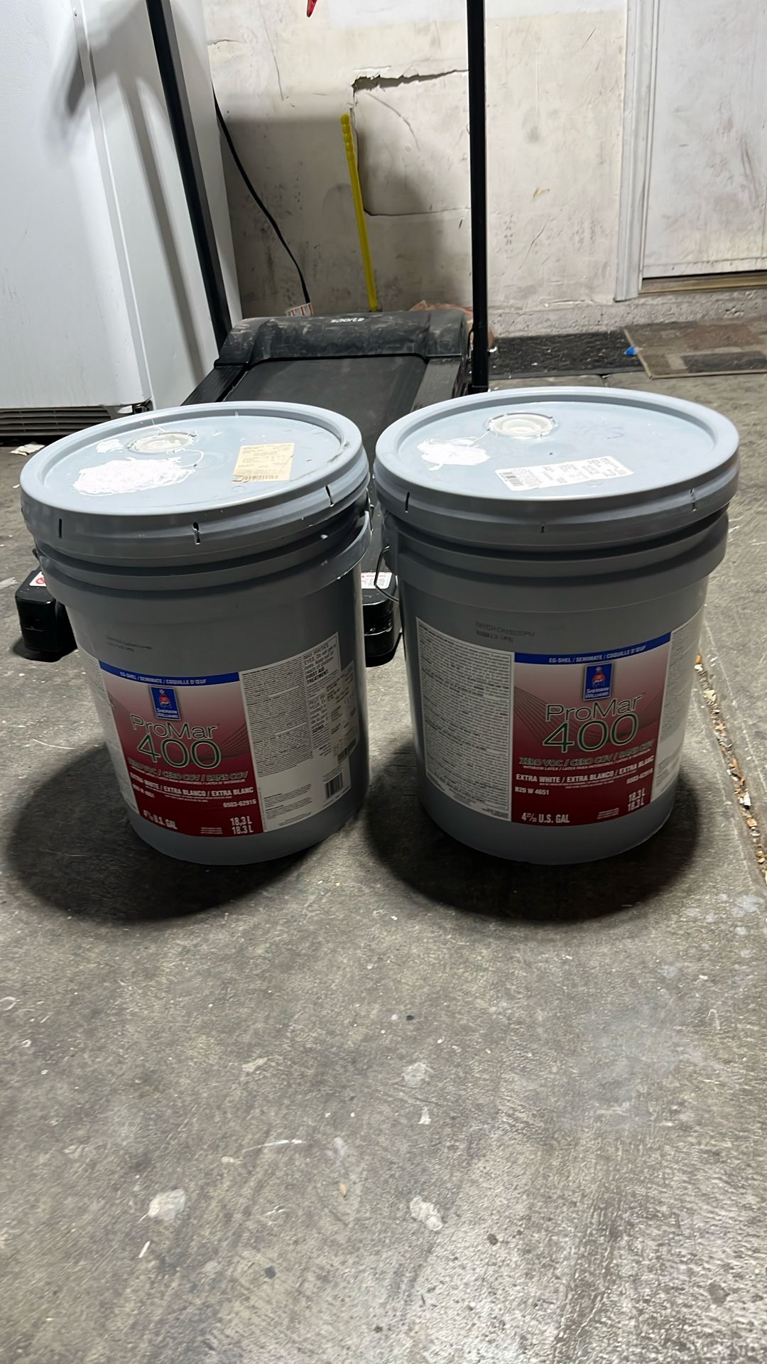 Eggshell Paint 7646 First Star