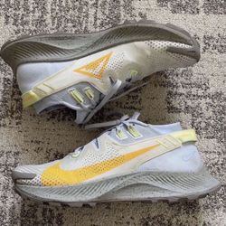 Nike Pegasus Trail 2 Pure Platinum Fossil Laser Orange Women's CK4309-001