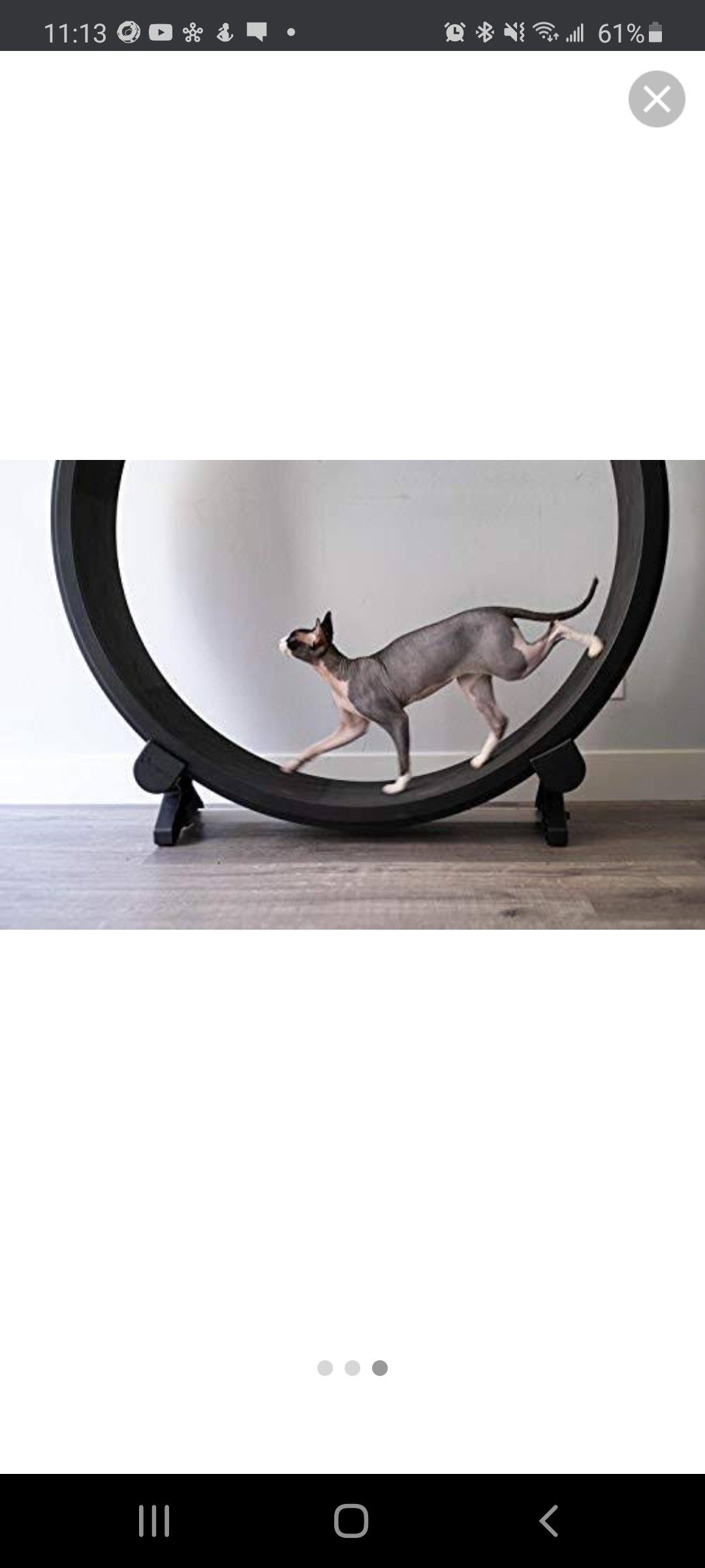 One fast cat exercise wheel