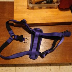 Purple pet Harnass