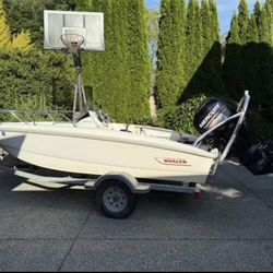 Boat for sale WITH trailer included 