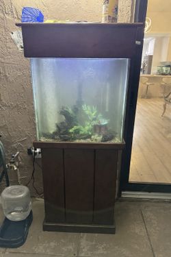 Acuario Pecera