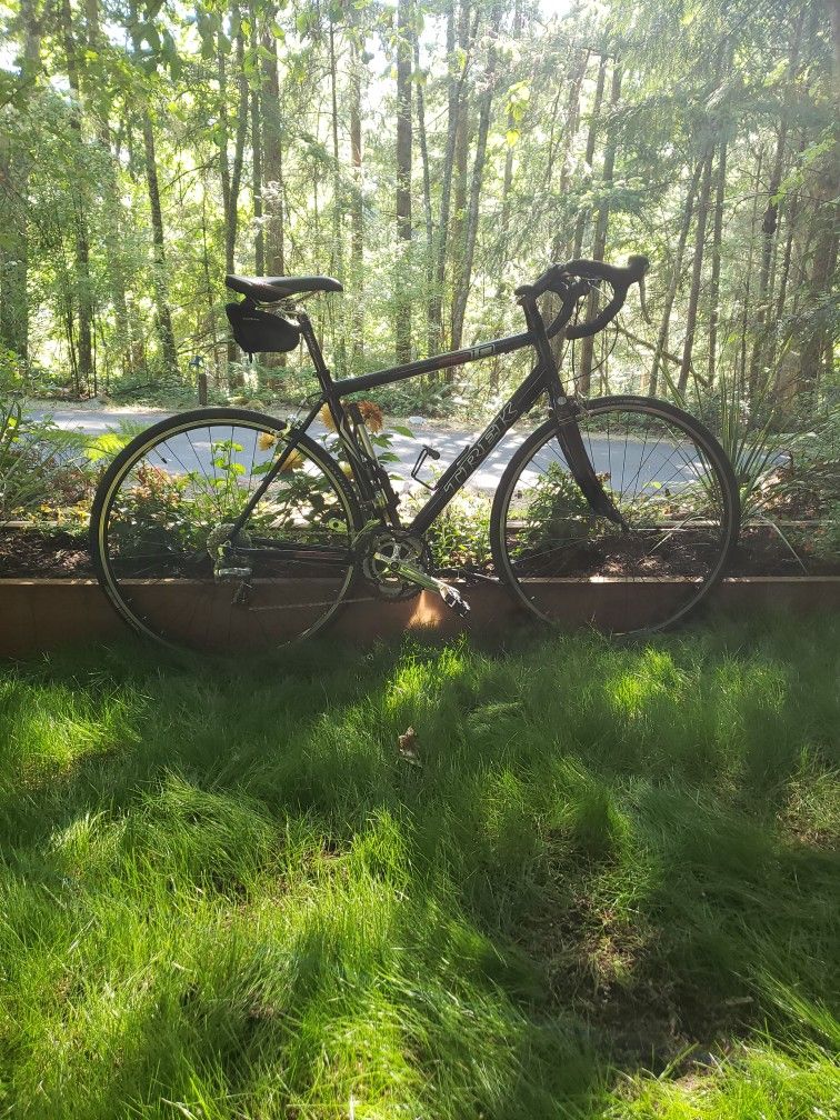 trek pilot 1.0 sl