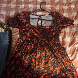 Francesca‘S Dress 
