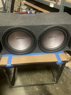 15’ Phoenix Gold Titanium Series/ Amps