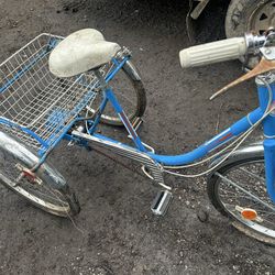 Classic trike bicycle