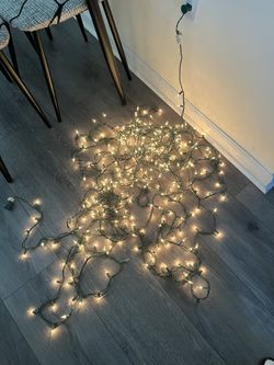 Christmas Lights ( Great Condition, 60 feet long)