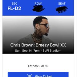 Chris Brown Concert Tickets 