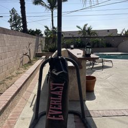 Everlast Punching Bag + Nordictrack Elliptical