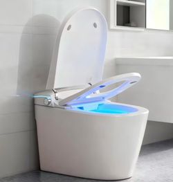Smart toilet…bidet, dryer, heated seat, remote