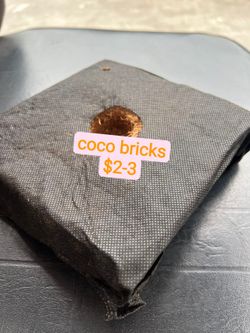 new coco bricks