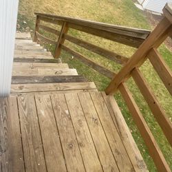 Roommate / Compañera De Habitación 