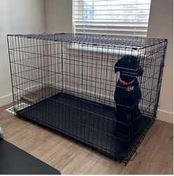 XL Dog Crate