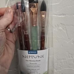 Princeton Artist Brush Neptune Series 4750 - 4-Piece Synthetic Squirrel Watercolor Paint Brush Set-