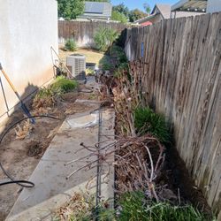 Lawn And Sprinkler 