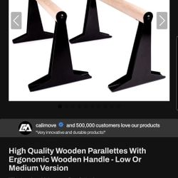 Like New Parallettes! Pullup & Dip