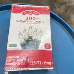Brand New Clear Mini Lights 