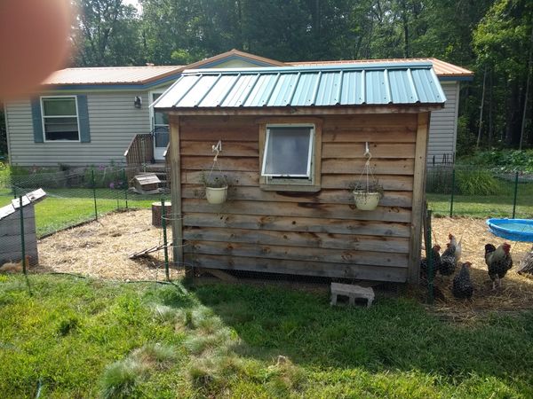 Chicken coop kits michigan Indiana’s obscure Meyers Manx alternative was born in a chicken coop