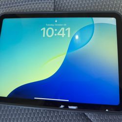 Apple iPad Blue 10th Generation 256G With Case