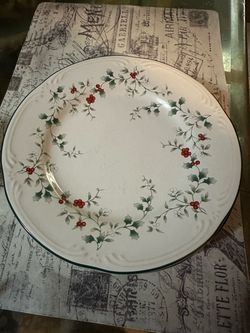 Platos winterberry