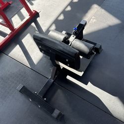 Bolt fitness sissy squat