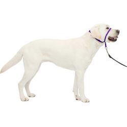 Gentle Lead Dog Head Harness