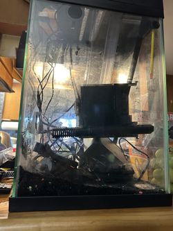 10 gallon tall fish tank full set up
