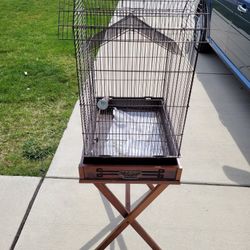 Bird Cage