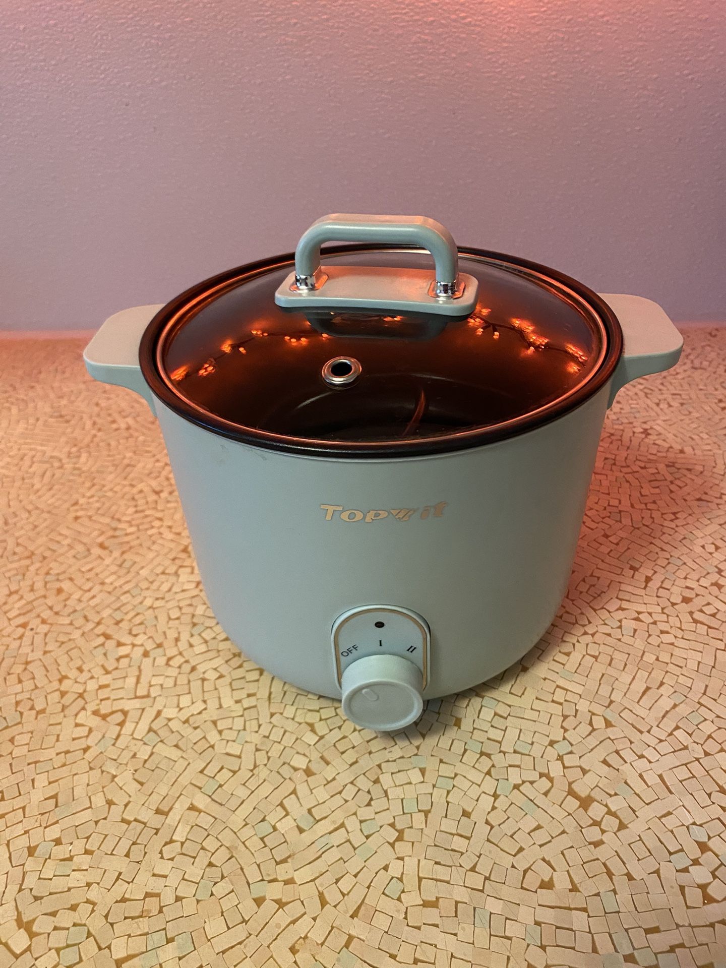 Electric Hot Pot