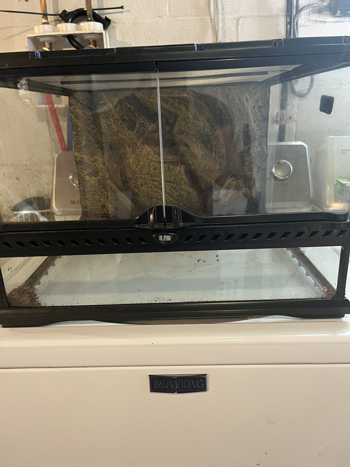 Hermit Crab, Tank With Screen On Top