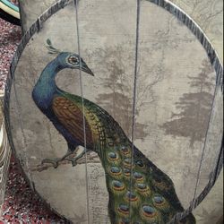 Peacock Oval Wall Art