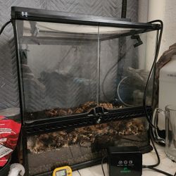 Terrarium 