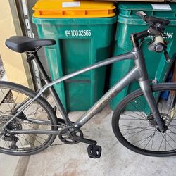 2025 Trek FX 3 Gen 4 Road Hybrid Bike Large