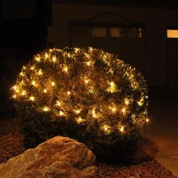 2-Pack Christmas Net Lights,100 Warm White Net Lights for Indoor & Outdoor Christmas Decorations, Events, Eve Night Decor, Tree, Bushes