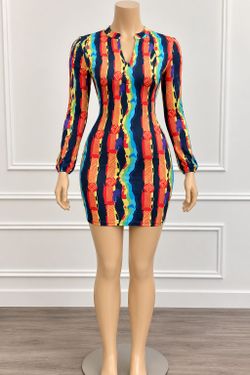 Multicolor Print Long Sleeve Bodycon Mini Dress