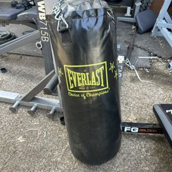 40lb Punching Bag 